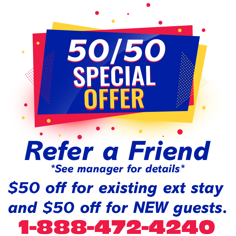 50 50 Special Offer
